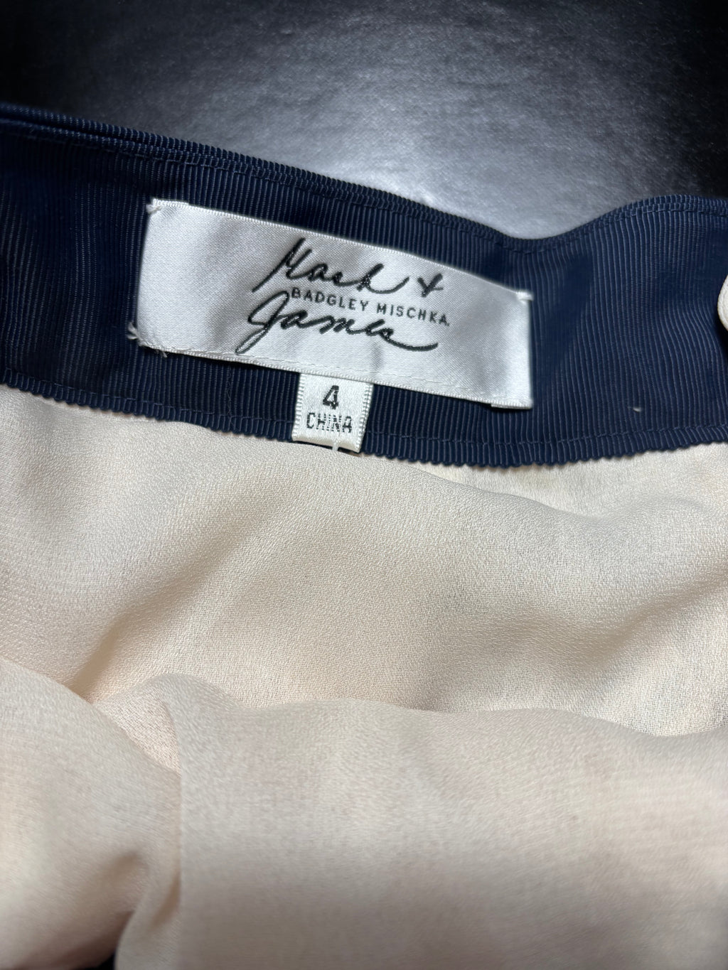 Badgley Mischka Skirt
